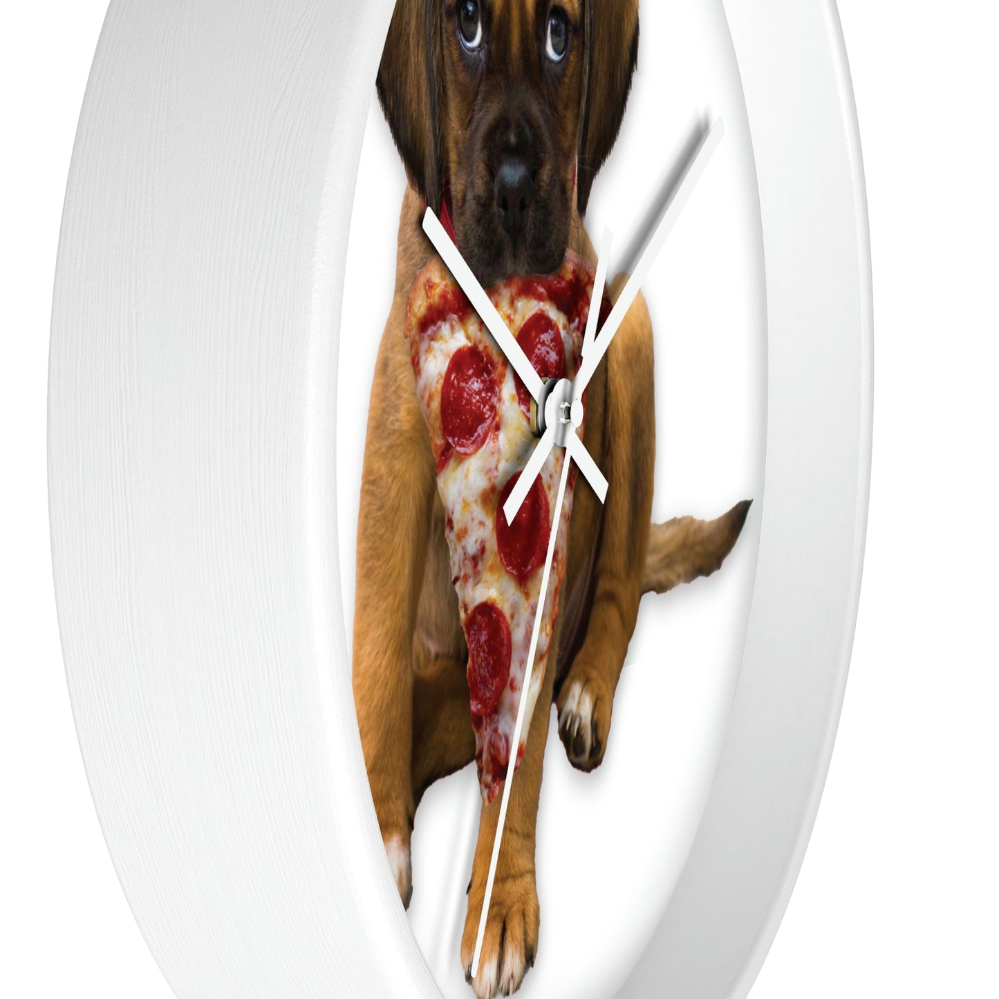 CUTE PIZZA