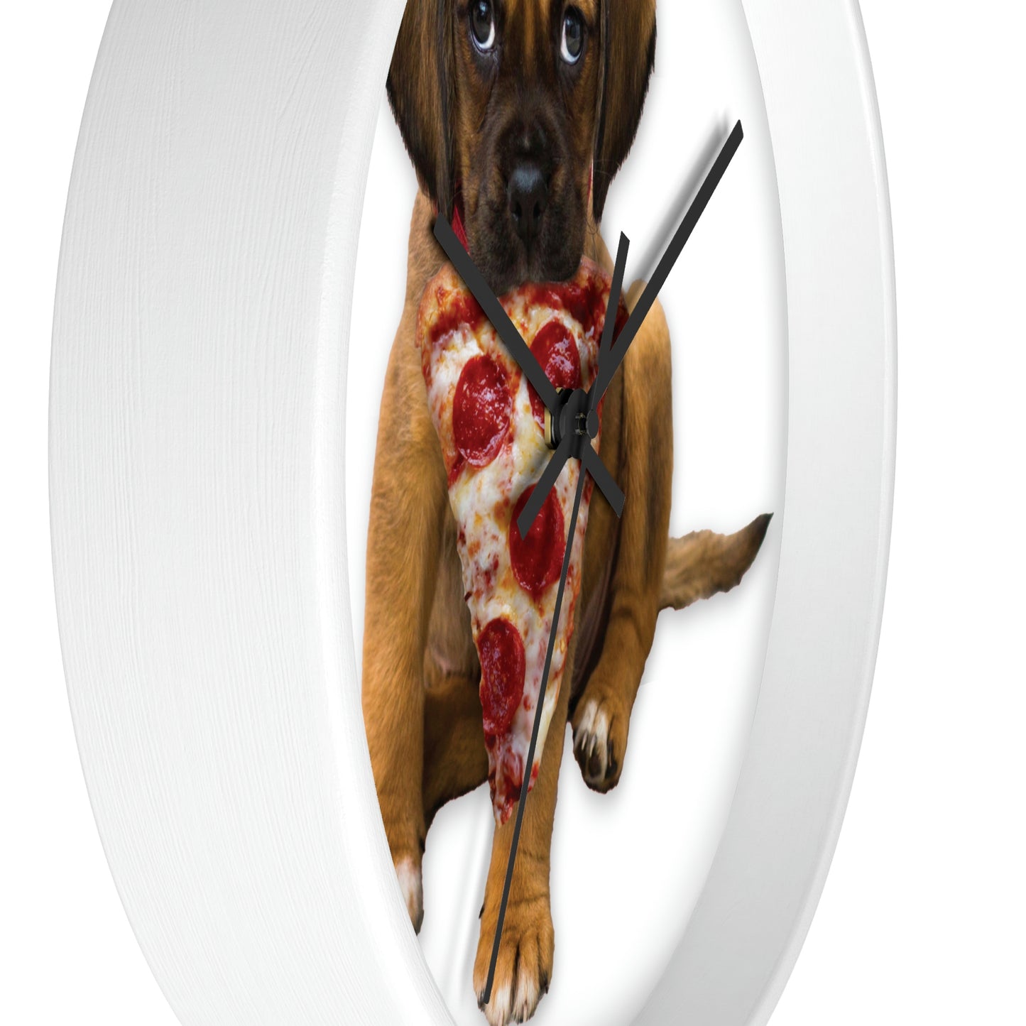 CUTE PIZZA